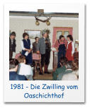 1981 - Die Zwilling vom Oaschichthof